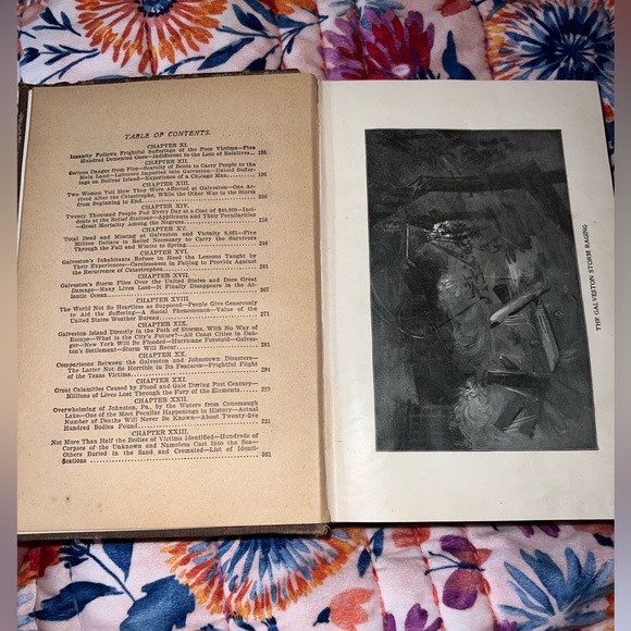 The complete story of the Galveston Horror. - Picture 2 of 12